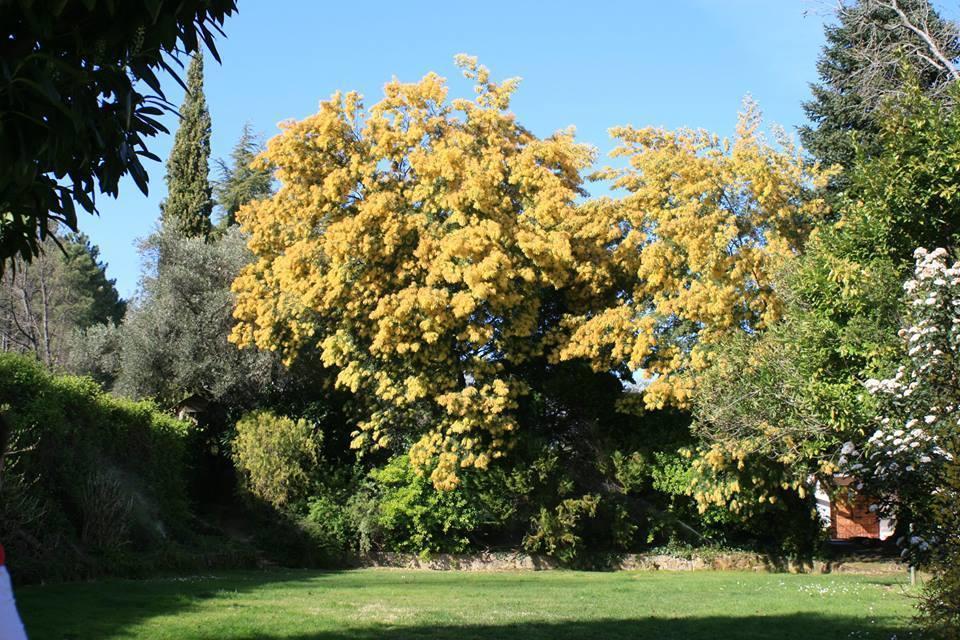 Rancho La Herradura Hébergement de vacances *